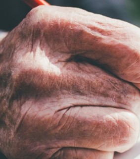 Alles over de wilsverklaring 